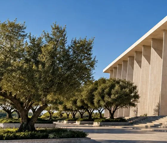 Oliveiras em frente à fachada de um edifício público